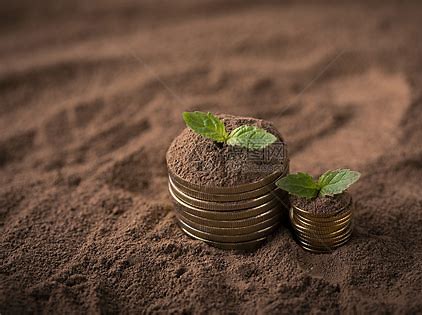 探秘科创板：上市公司信息披露全知道