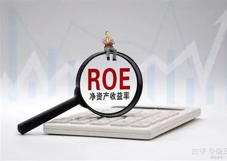 净资产收益率：透视企业盈利能力的“黄金指标”