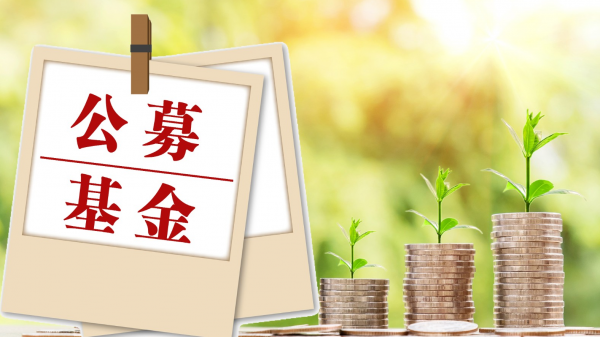 公募基金：大众理财的得力助手