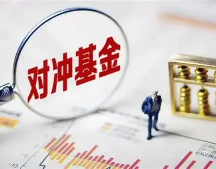 对冲基金：高风险博弈中的财富密码