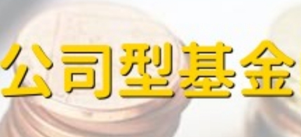 公司型投资基金：法人架构下的稳健投资选择