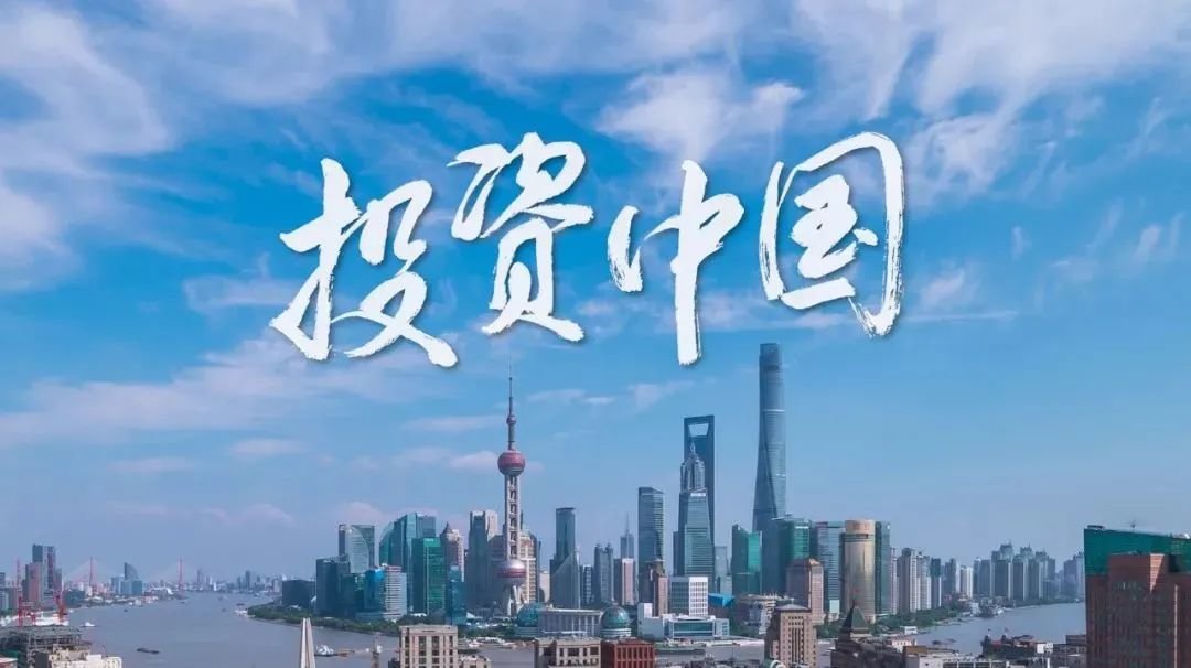 机构投资者：资本市场的“超级玩家”