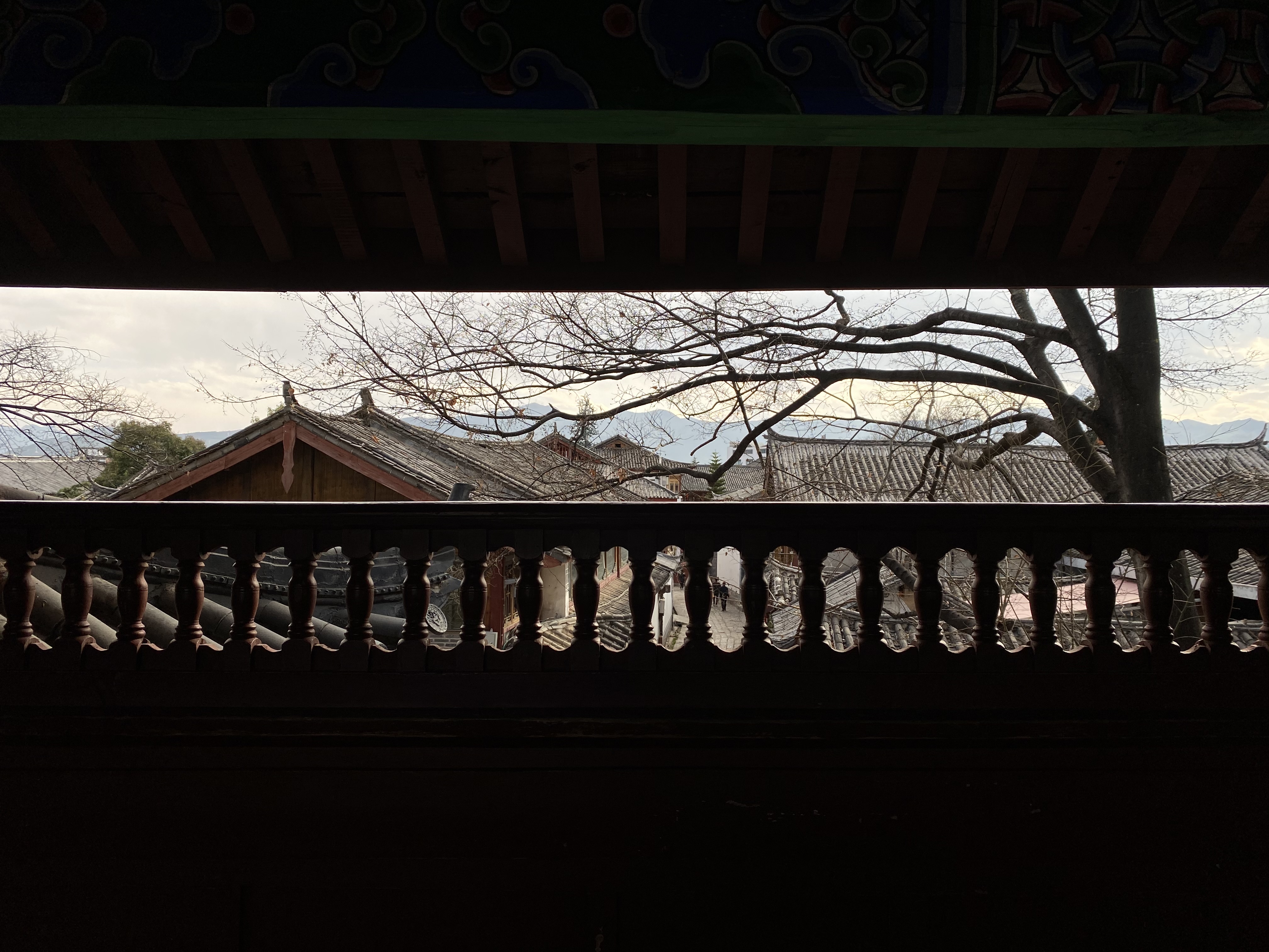 云南“留客”新篇：380万旅居者成发展新动力