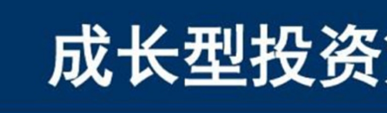 成长投资：捕捉“未来巨头”的造富密码
