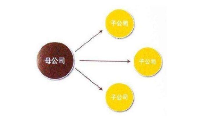 上市公司“母公司”：资本联结下的战略中枢