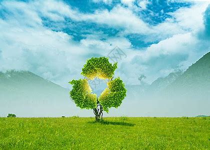 上市公司“资源优化”：从粗放扩张到精益管理的转型密码