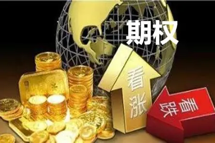 看涨期权：投资市场的“上涨通行证”