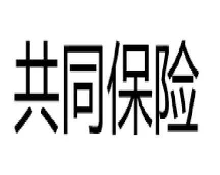 共同保险：分散风险的“保险联盟”