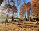 技术升级与成本走低共舞，储能行业开启新征程，谁能领跑？