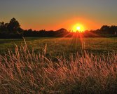 国庆出游热潮涌动，旅游市场活力迸发