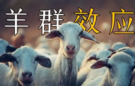 羊群效应：跟随背后的科学密码